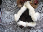 kimmies fur outfit_07
